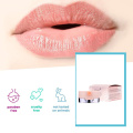 ODM OEM Private Label Overnight Sleeping Moisturizing Hydrating Nourishing Collagen Lip Mask